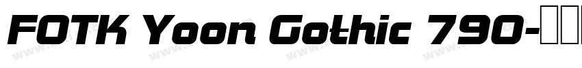 FOTK Yoon Gothic 790字体转换
